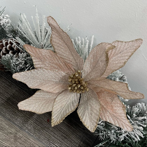 Other - 6 nochebuenas color rosa